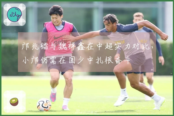 邝兆镭与魏祥鑫在中超实力对比，小邝仍需在国少中扎根奋斗